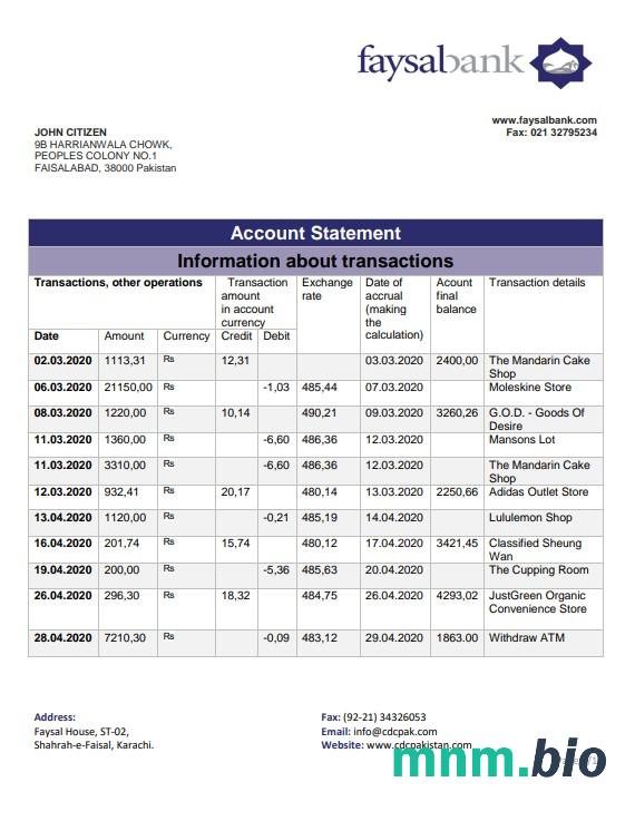 Pakistan Fasyal Bank szablon w formacie excel pdf